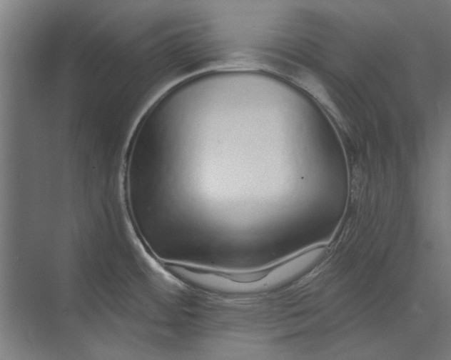 X0000073701484200608241404