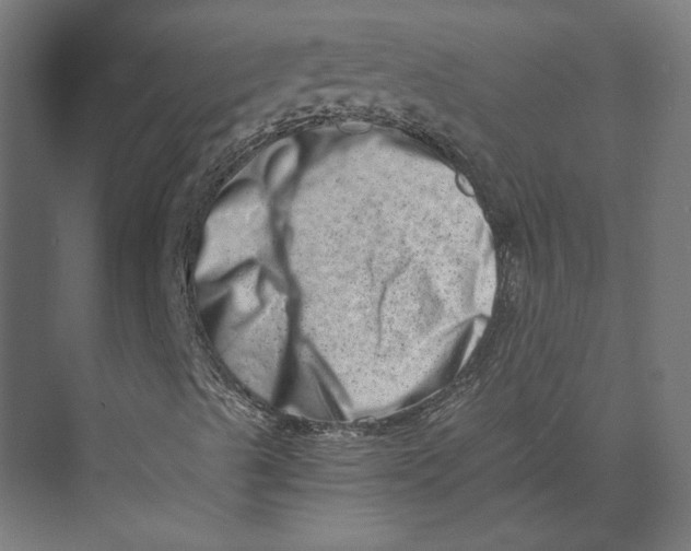 X0000073701489200608241403