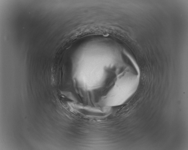 X0000073701490200608241403