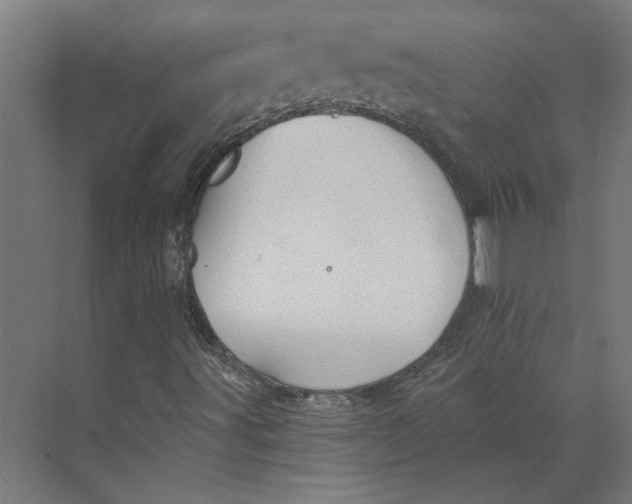 X0000073701491200608241403