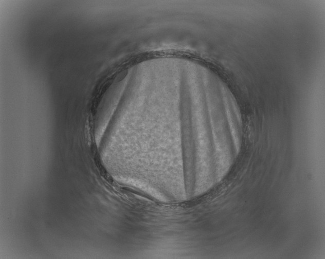 X0000073701493200608241403