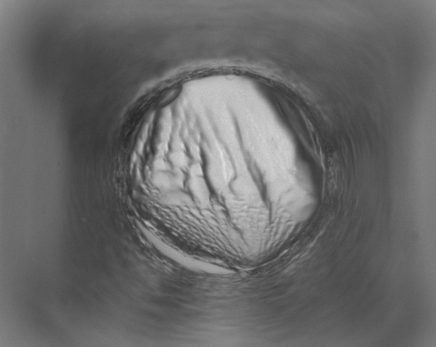 X0000073701494200608241403