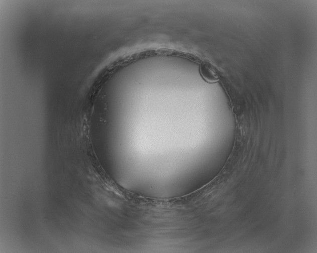 X0000073701495200608241403