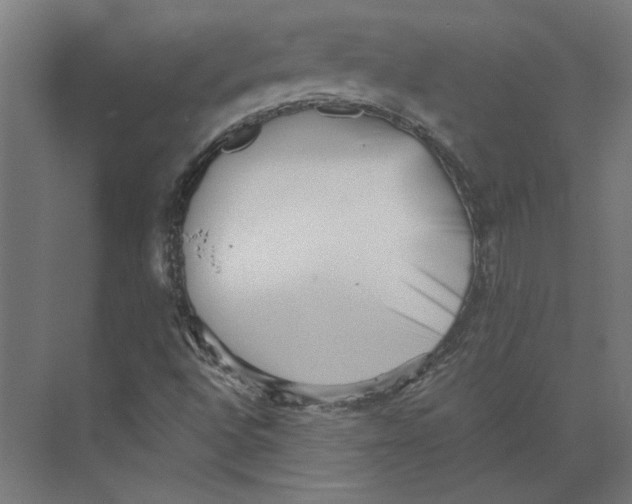 X0000073701496200608241403