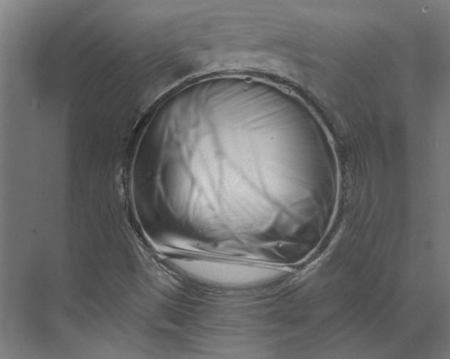 X0000073701497200608241403