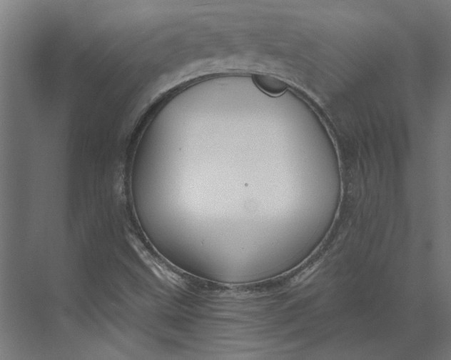 X0000073701499200608241403