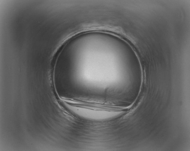 X0000073701501200608241403