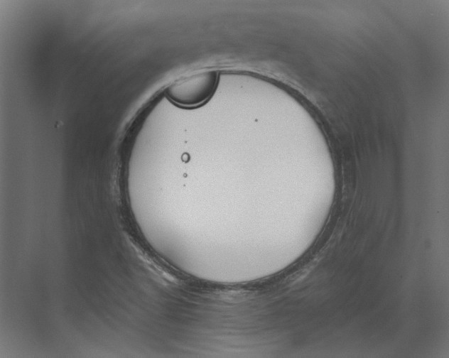 X0000073701502200608241403