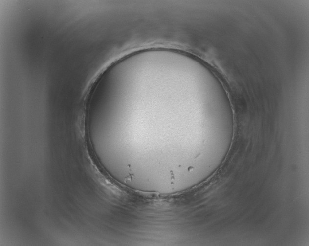 X0000073701504200608241403