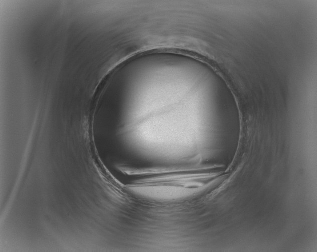 X0000073701505200608241403