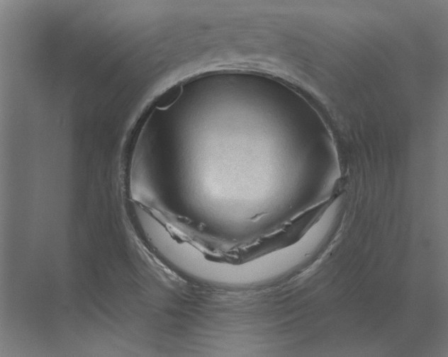 X0000073701506200608241403