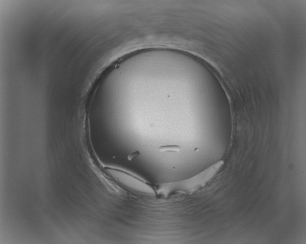 X0000073701507200608241403