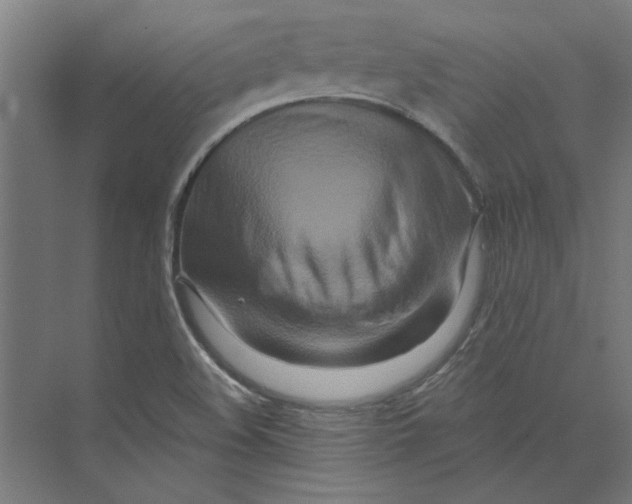 X0000073701508200608241403