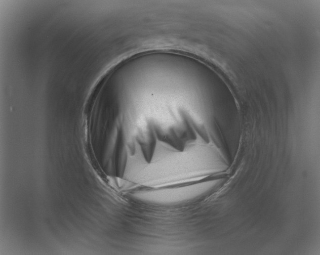 X0000073701509200608241403