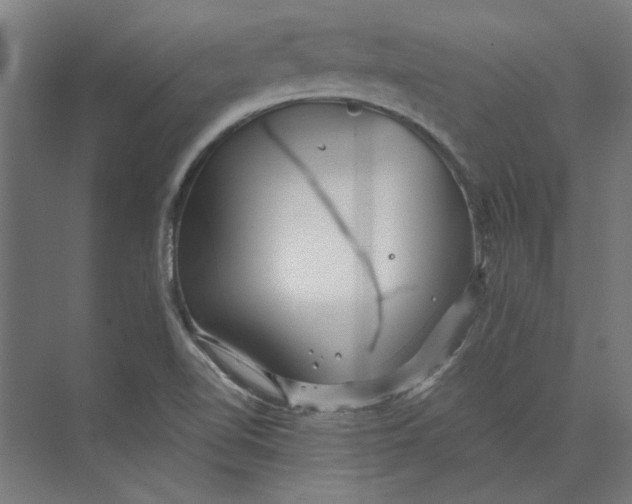 X0000073701510200608241404