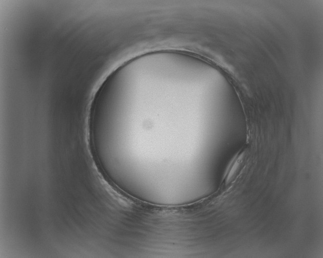 X0000073701512200608241404