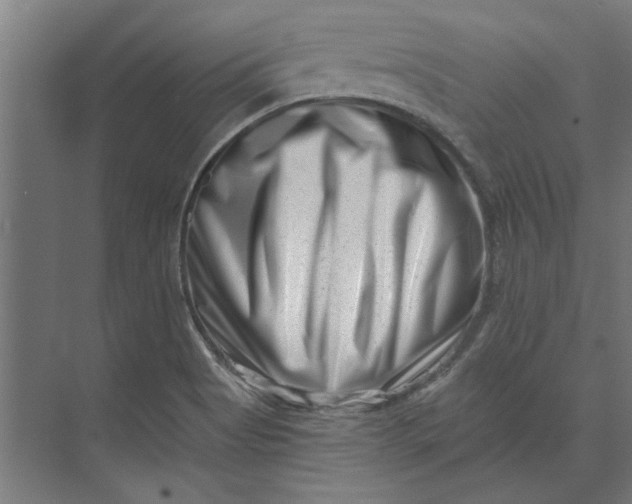 X0000073701513200608241404