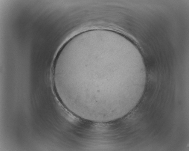 X0000073701514200608241404