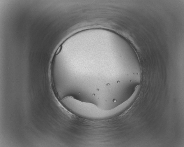 X0000073701516200608241404