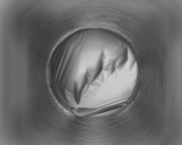 X0000073701517200608241404