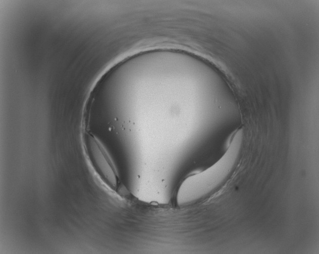 X0000073701518200608241404