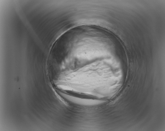 X0000073701521200608241404