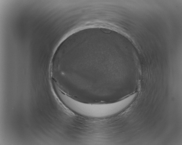 X0000073701522200608241404