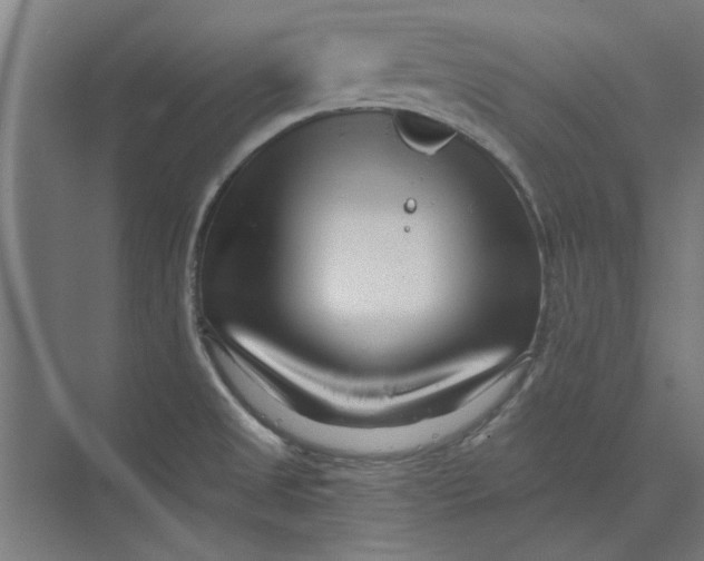 X0000073701525200608241404