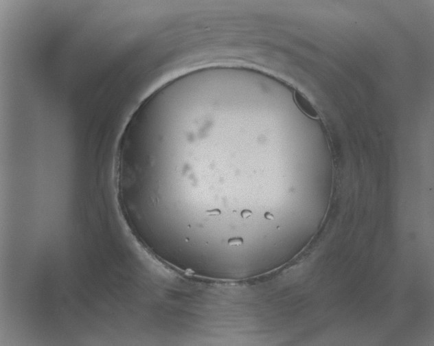 X0000073701526200608241404