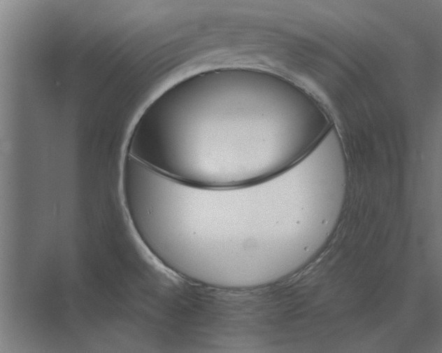 X0000073701528200608241404