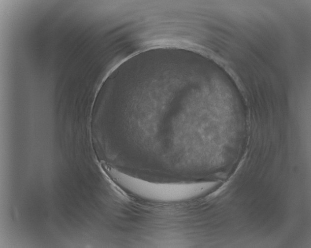 X0000073701529200608241404