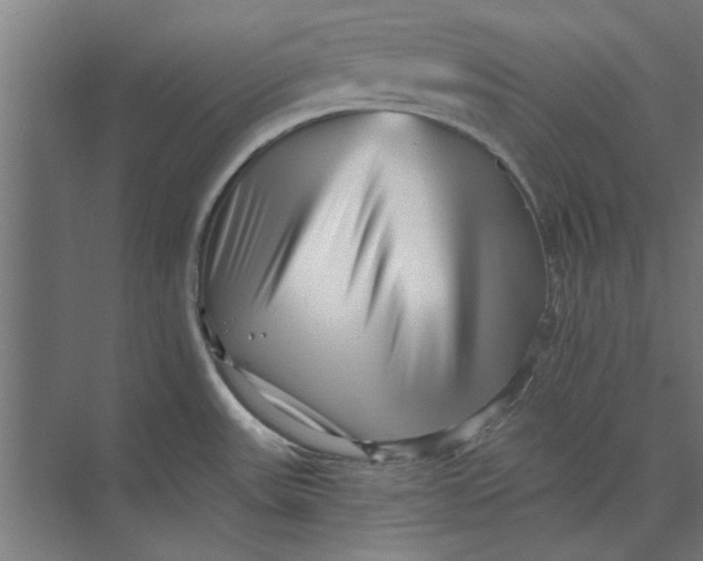 X0000073701531200608241404