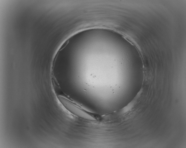 X0000073701532200608241404