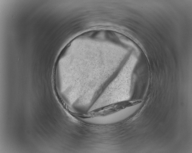 X0000073701533200608241404