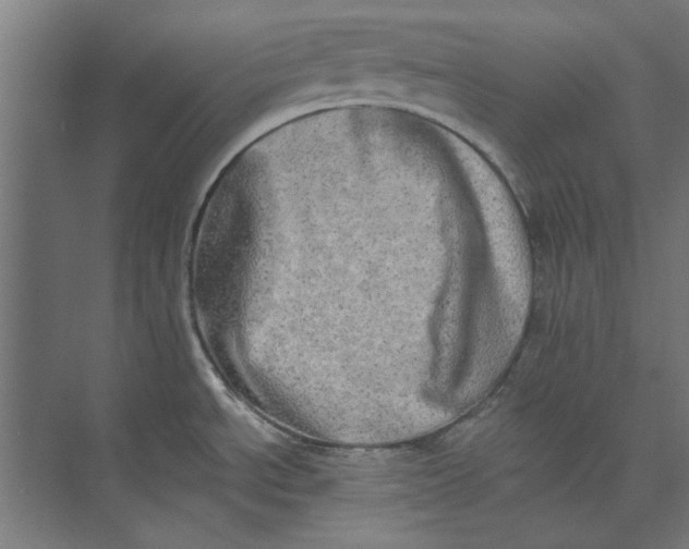 X0000073701534200608241404