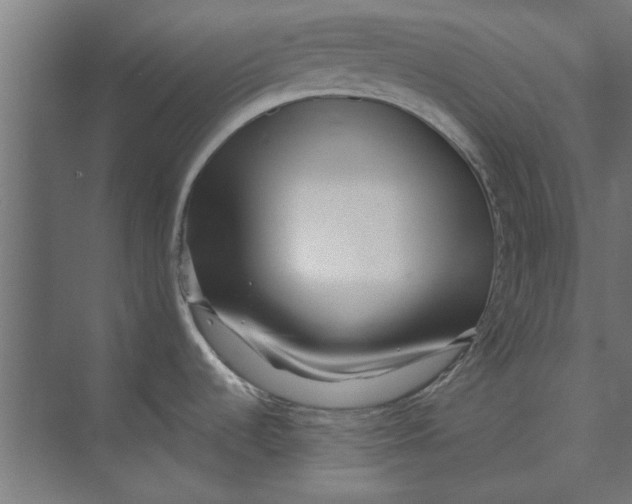 X0000073701536200608241404