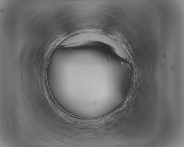 X0000073700001200608311741