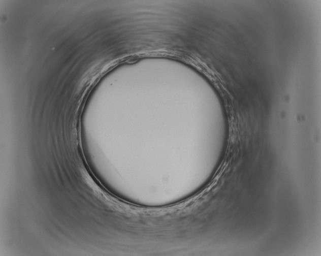 X0000073700002200608311741