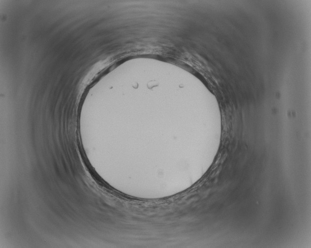 X0000073700003200608311741