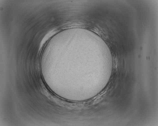 X0000073700004200608311741