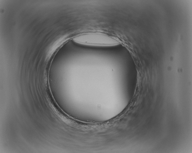 X0000073700005200608311741