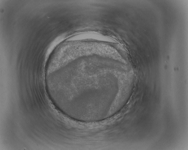 X0000073700006200608311741