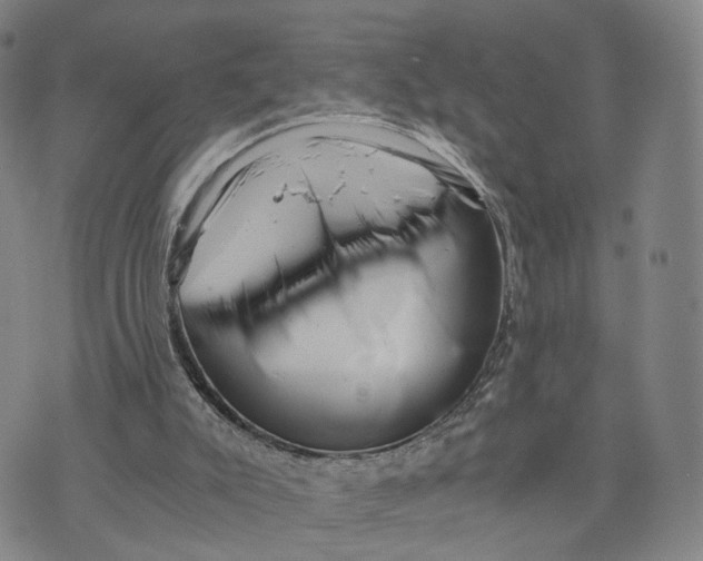 X0000073700007200608311741