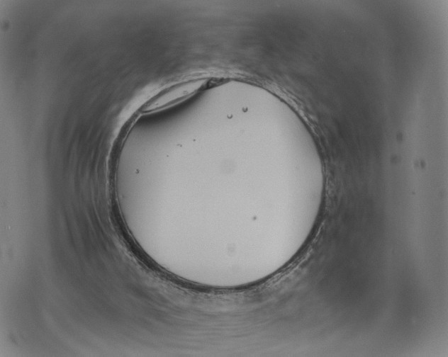 X0000073700008200608311741