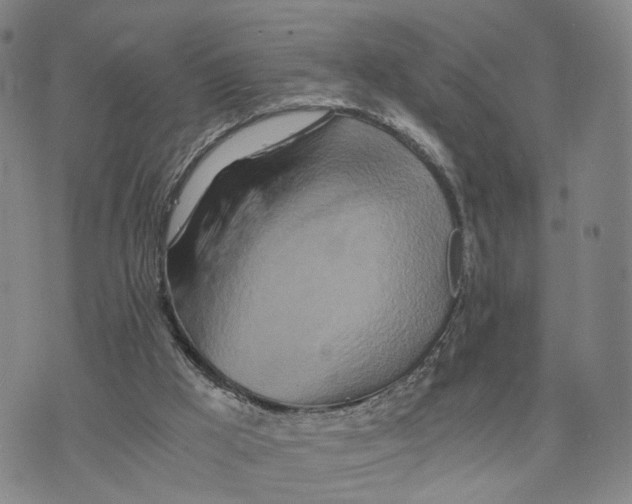 X0000073700009200608311741