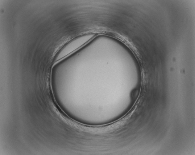 X0000073700010200608311741