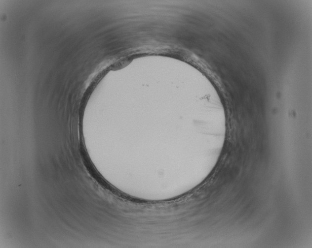 X0000073700011200608311741