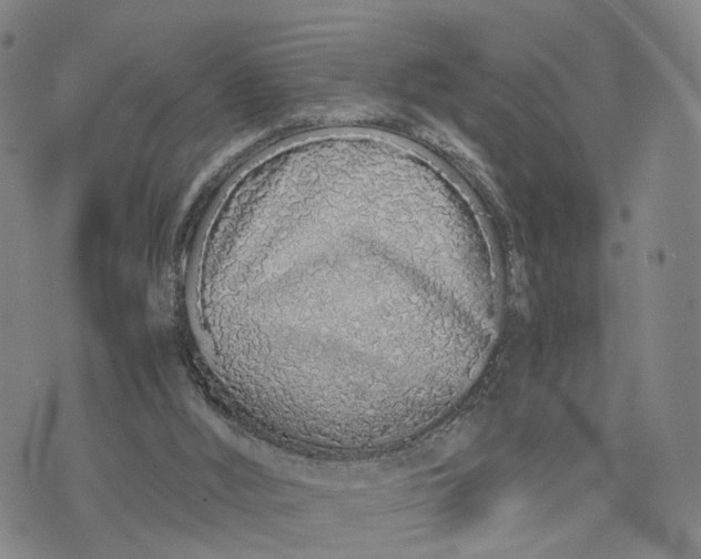 X0000073700012200608311741