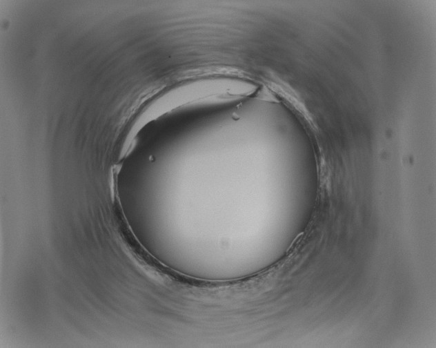 X0000073700013200608311741