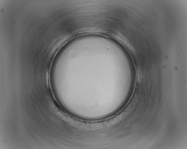 X0000073700014200608311741